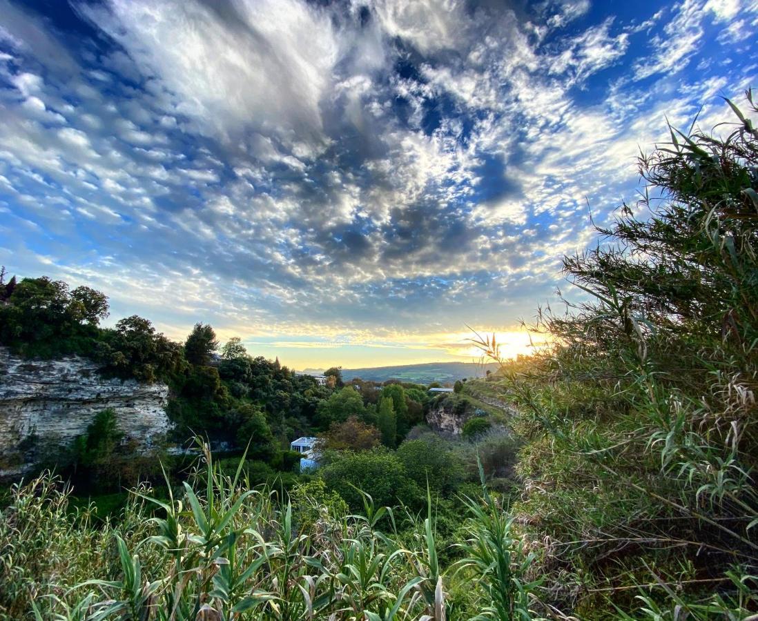 Villa Ignacia B&B - Naturaleza Entre Ronda Y Setenil อาร์เรียเต ภายนอก รูปภาพ