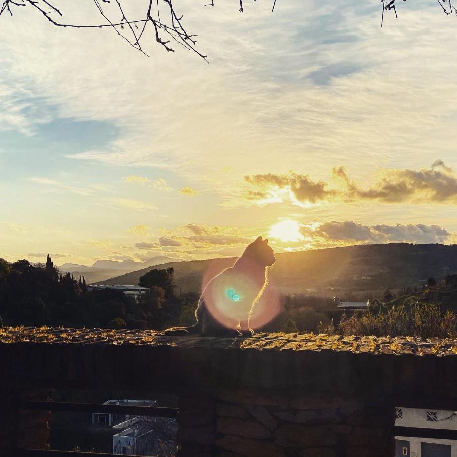 Villa Ignacia B&B - Naturaleza Entre Ronda Y Setenil อาร์เรียเต ภายนอก รูปภาพ