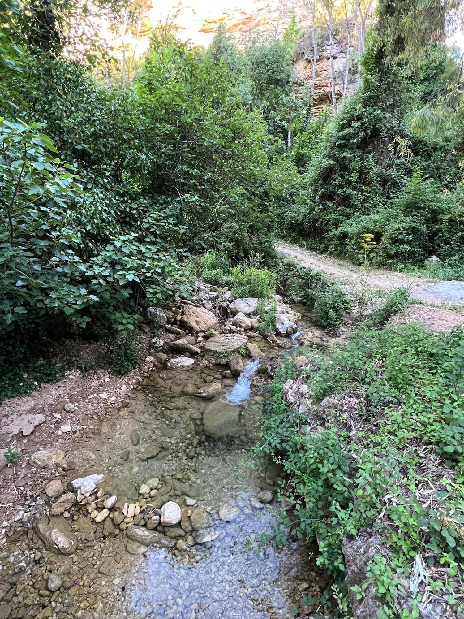Villa Ignacia B&B - Naturaleza Entre Ronda Y Setenil อาร์เรียเต ภายนอก รูปภาพ