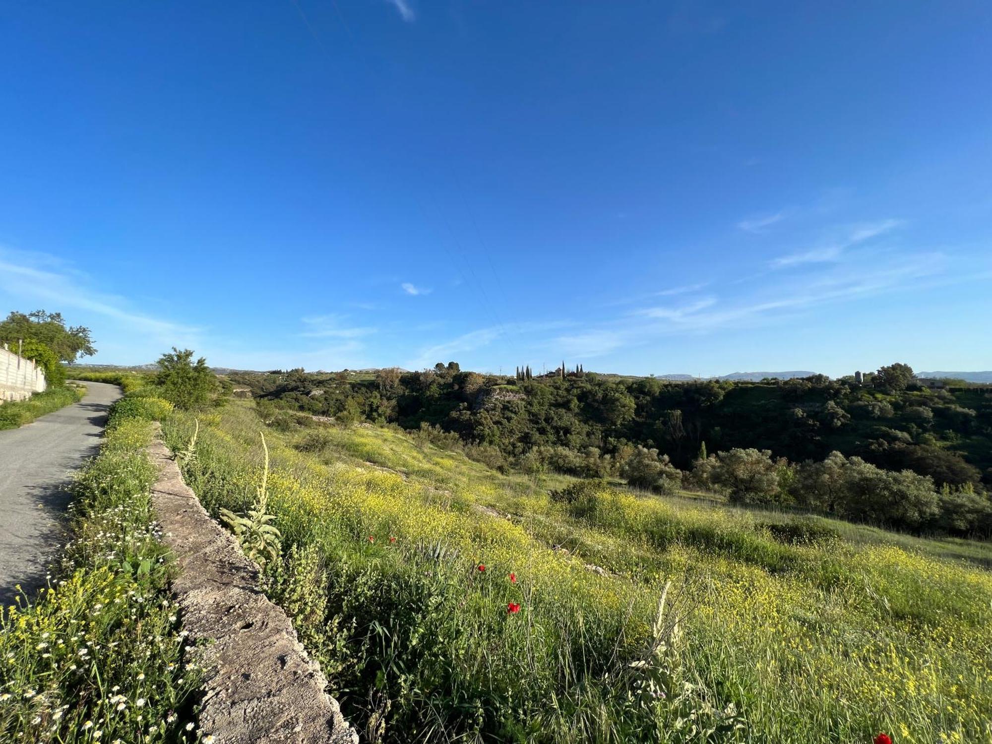Villa Ignacia B&B - Naturaleza Entre Ronda Y Setenil อาร์เรียเต ภายนอก รูปภาพ