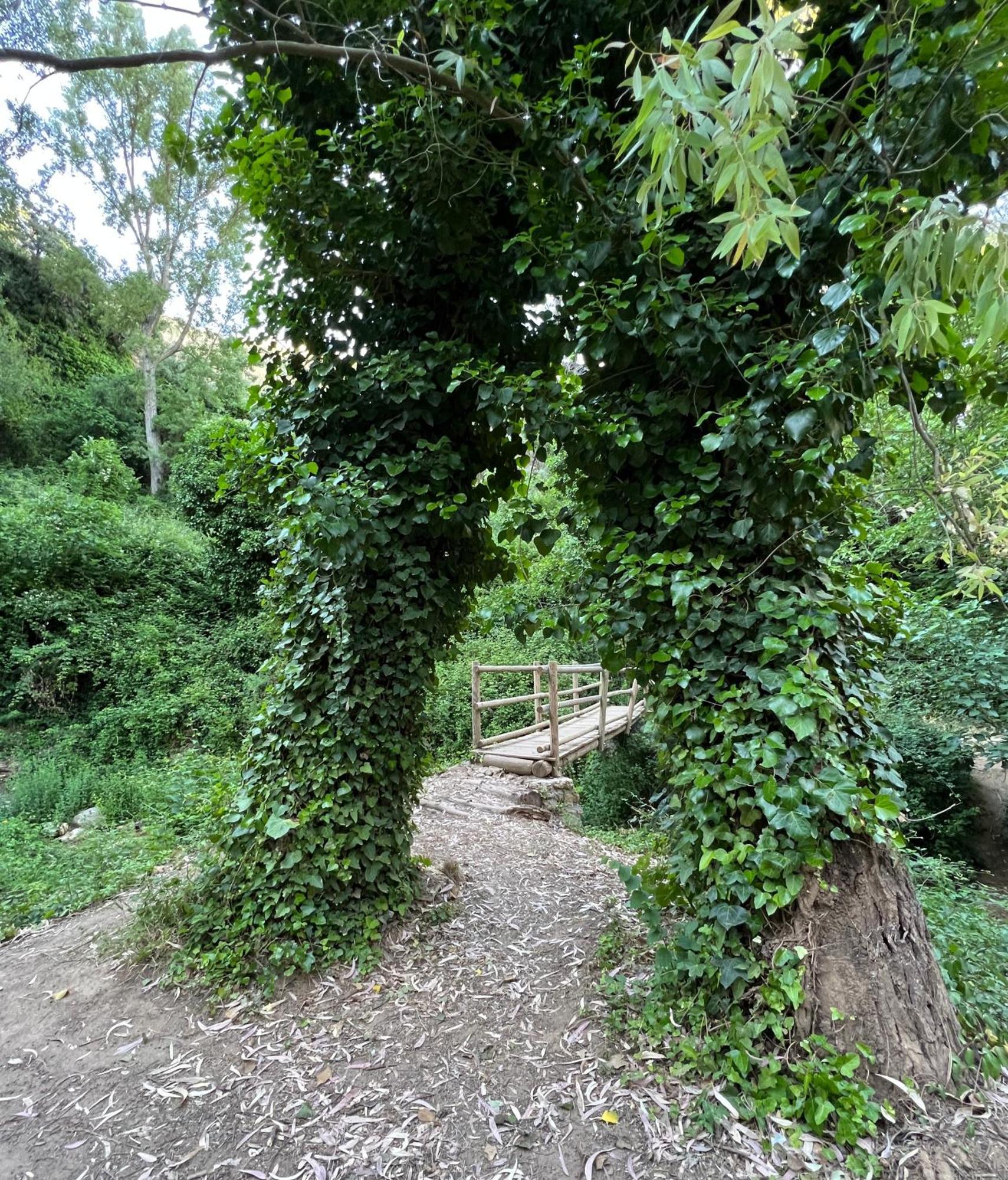 Villa Ignacia B&B - Naturaleza Entre Ronda Y Setenil อาร์เรียเต ภายนอก รูปภาพ